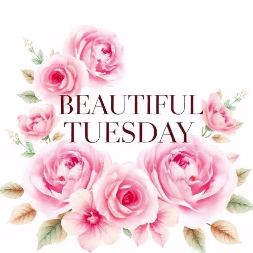 Tuesday motivation quote design with laptop and coffee